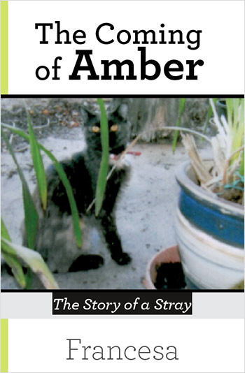 The Coming of Amber by Francesa