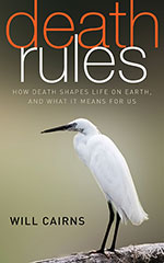 Death Rules by Will Cairns