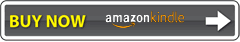 buy ebook from amazon