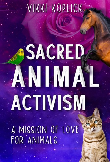 Sacred Animal Activism
by Vikki Koplick