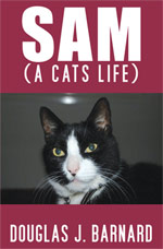 Sam - A Cat's Life