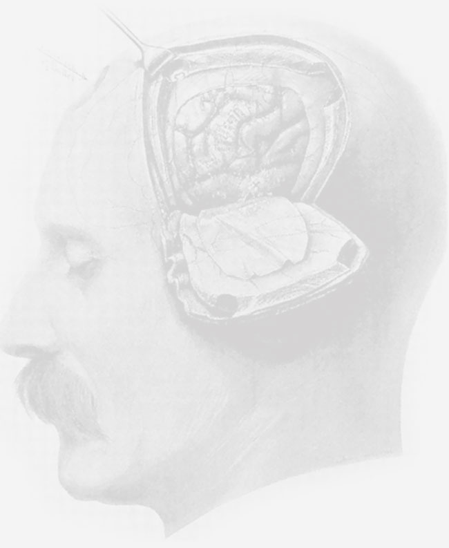 The History of Body Cavity Surgery