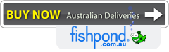 Buy book in Australia